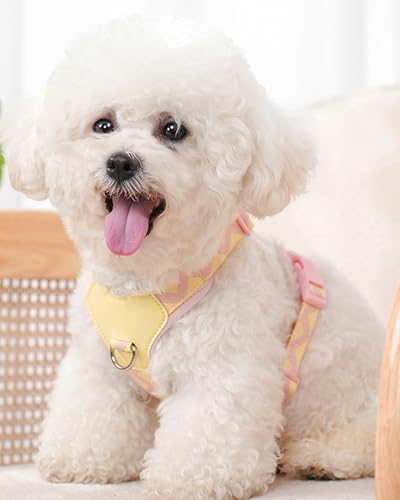 Petank Pink Small Dog Harness, No Pull Dog Harness with 2 Leash Clips, Adjustable Dog Vest Harness (Pink, S) - color: Pink, size: S
