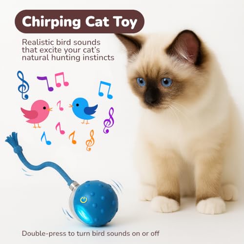 Interactive Cat Toy Ball for Indoor Cats – Fast Rolling on Carpet, Motion Activated with Chirping Sounds, Smart Play Toy (Blue) - color: Blue