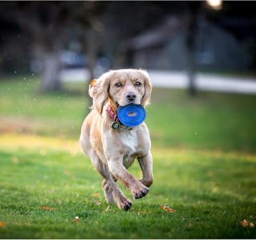 Andiker Squeaky Dog Toy, Safe TPR Chewable Dog Toys for Teeth Grinding&Cleaning Dog Fetch Toys for Enhancing Interactivity Outdoor Suitable for All Dog Sizes Puppy’s and Dogs (Large Blue) - size: Large Blue