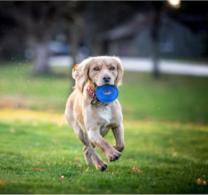 Andiker Squeaky Dog Toy, Safe TPR Chewable Dog Toys for Teeth Grinding&Cleaning Dog Fetch Toys for Enhancing Interactivity Outdoor Suitable for All Dog Sizes Puppy’s and Dogs (Large Blue) - size: Large Blue