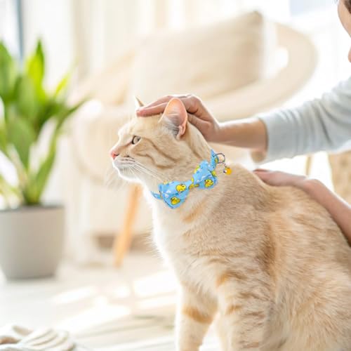 SCENEREAL Cat Collar with Bells, 2 Pack Breakaway Cat Collars with Removable Bowtie Bandana, Adjustable Cute Kitten Collar for Pet Small Dogs Boys Girls, Blue Duck - color: Bandanas & Bow (Duck - Blue)