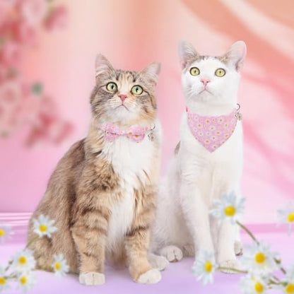 SCENEREAL Spring Cat Collar Breakaway with Bells, 2 Pack Cute Flower Pet Collar with Removable Bow Tie and Bandana, Adjustable Safety Buckle with Daisy Pendants for Girl Cats Kitten - color: Bandanas & Bow (Daisy-Pink)