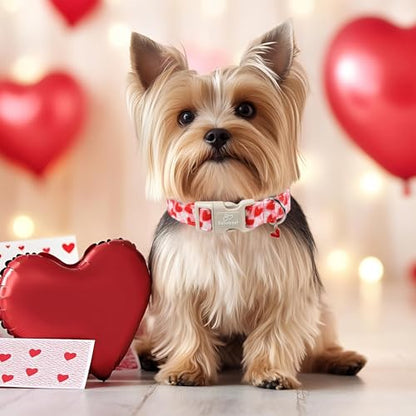 Valentines Dog Collar for Puppy Small Dogs - Cute Pink Girl Dog Collar, Doodle Heart Pattern, Adjustable Valentine Dog Collars with Red Heart Charm XS - color: Doodle Heart, size: XS