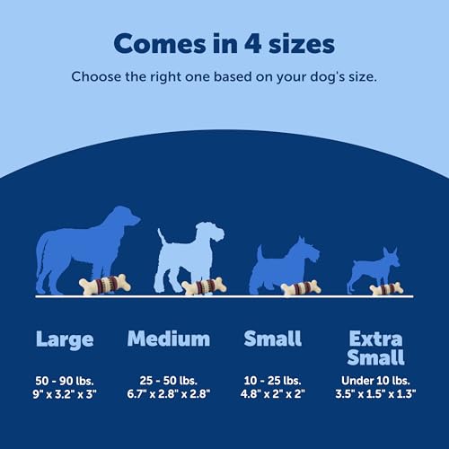 PetSafe Busy Buddy Bristle Bone Dog Chew Toy - Treat Holding Toothbrush Toy for Hard Chewers - Helps Keep Your Dog's Teeth Clean - Durable, Interactive - Purple, Medium - size: Medium, style: Bristle Bone