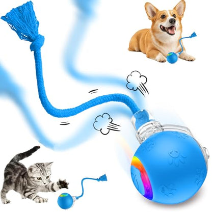FUNNYDUCK Speed 2.0 Tail Interactive Cat Toys for Indoor Cats – Smart Motion-Activated Rolling Ball with Tail, Chirping Sounds, and USB Rechargeable Design for Enrichment & Exercise - color: Blue tail