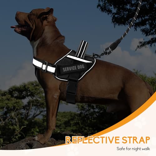 Service Dog Vest Harness and Leash Set, Animire in Training Dog Harness with 10 Dog Patches, Reflective Dog Leash with Soft Padded Handle for Small, Medium, Large, and Extra-Large Dogs (Black, XS) - color: Black, size: XS