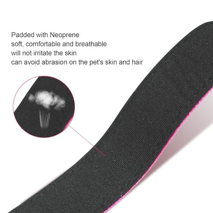Dog Collars Adjustable for Small Dogs,Heavy Duty Waterproof Dog Collar with Quick Release Buckle,Girl Boy Female Male Reflective Nylon Dog Collar with Soft Neoprene Padded,S,Rose - color: Rose, size: Small