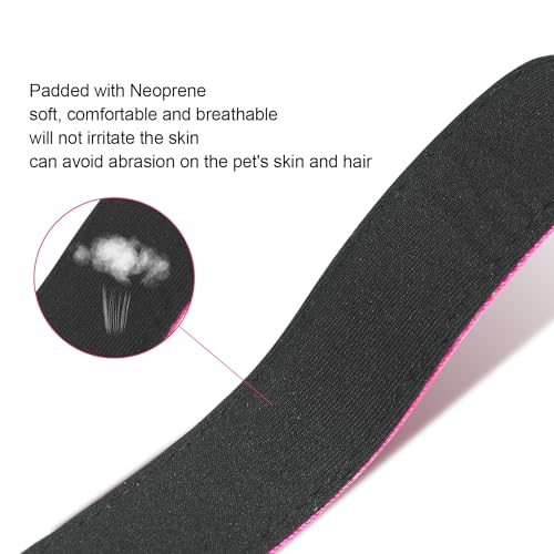 Dog Collars Adjustable for Small Dogs,Heavy Duty Waterproof Dog Collar with Quick Release Buckle,Girl Boy Female Male Reflective Nylon Dog Collar with Soft Neoprene Padded,S,Rose - color: Rose, size: Small