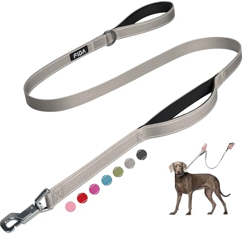 Fida 5 FT Heavy Duty Dog Leash with 2 Comfortable Padded Handles, Traffic Handle & Advanced Easy Snap Hook, Reflective Walking Lead for Large, Medium & Small Breed Dogs, Grey - color: Grey, size: 5 Feet (Pack of 1)