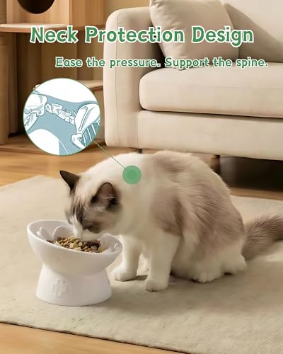 Ceramic Slow Feeder Cat Bowl, 15° Tilted Elevated Cat Slow Eating Bowl for Neck Protection, Anti Vomiting Dog Slow Feeder, Whisker Friendly & No Black Chin for Cats and Small Dogs, White - color: 01-White