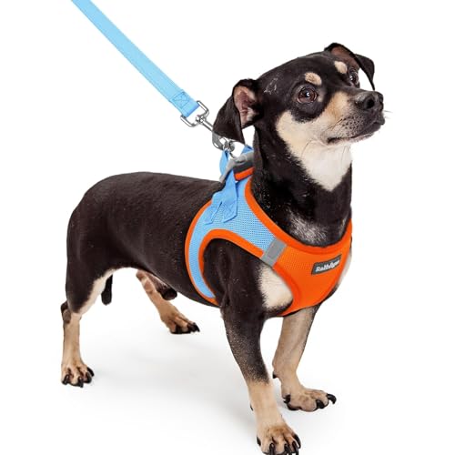 rabbitgoo Dog Harness Small Sized and Leash Set, Step in Soft Light Puppy Vest, Breathable Mesh Pet Harness, Reflective for Safe Easy Walking, Blue & Orange XXXS - color: Blue & Orange, size: Xxxs (chest: 10.8 - 11.8")