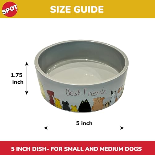 SPOT Best Friends Pet Food Dish - Food or Water Ceramic Bowl for Pets, Ideal for Small Dogs, Dishwasher Safe, 1.75 Cups (14oz) Capacity - 5in, Light Grey - size: 5 inch