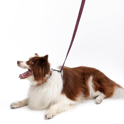 Soft Leather 4ft Dog Collar and Leash Set,Stylish 4ft PU Leather Dog Training Leash, Adjustable Durable Pet Collars with Quick Release Buckle for Large Dogs,Medium Dogs,Terracotta (red-Brown, 4 feet) - color: red-brown