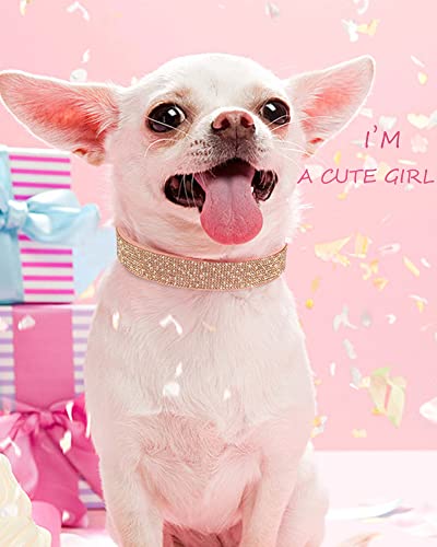 Dog Collar for Small Dogs, Adjustable Leather Suede Bling Dog Collars，Pink Dog Collar Cat Collar, Rhinestone Dog Collar - color: pink, size: XS