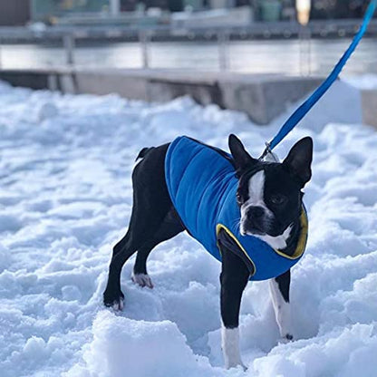Gooby Padded Vest Dog Jacket - Solid Blue, Medium - Warm Zip Up Vest Fleece Jacket with Dual D Ring Leash Water Resistant for Small to Medium Dogs - color: Blue Solid, size: Medium