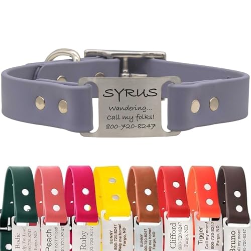 dogIDs Personalized Dog Collar – ScruffTag Custom Waterproof Biothane Dog Collar with Laser-Engraved Name, Durable & Odor-Resistant – USA Made | Grey, 1 in x 16 in (Fits Neck Sizes 14-18 in) - color: Grey, size: 1 in x 16 in (Fits Neck Sizes 14-18 in)