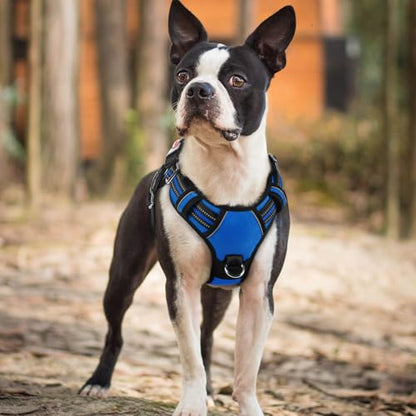 rabbitgoo Dog Harness Small Sized, No Pull Dog Vest with 3 Buckles, Adjustable Soft Padded Pet Harness with Easy Control Handle and Reflective Strips, Royal Blue, S - color: Royal Blue, size: Small