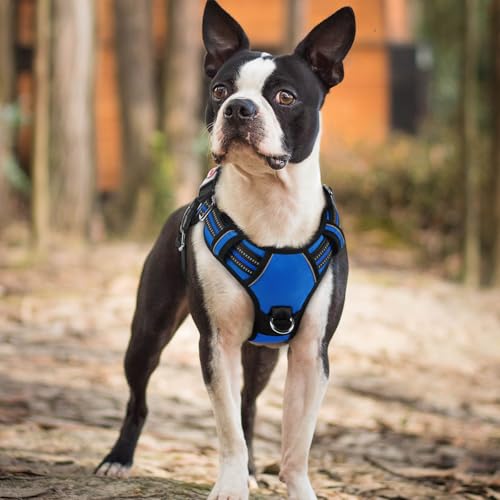rabbitgoo Dog Harness Small Sized, No Pull Dog Vest with 3 Buckles, Adjustable Soft Padded Pet Harness with Easy Control Handle and Reflective Strips, Royal Blue, S - color: Royal Blue, size: Small