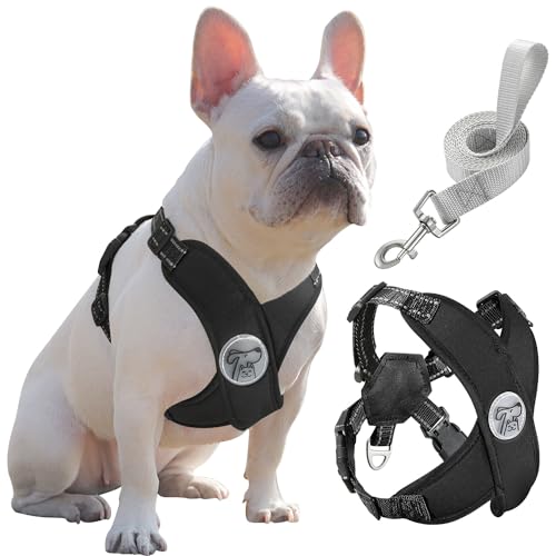 Pawaboo Small Dog Harness and Leash Set, Puppy Harness X-Frame No Pull No Choke, Dog Vest Harnesses Adjustable for Small Medium Sized Dogs, Soft Breathable Pet Harnesses for Walking Outing (L, Black) - color: A-black, size: L(Neck 17.3-20.5" Chest 15.7-26
