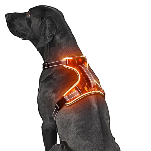 LED Light Up Dog Harness for Safety Night Walking, Glow in the Dark Soft Mesh Lighted Safety Vest USB Rechargeable -Illuminated No Pull Reflective Dog Harness for Medium Dogs (Orange, M) - color: Orange-LED, size: Medium