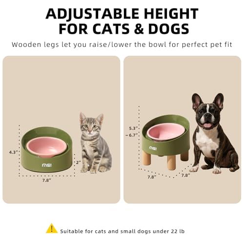 MS!MAKE SURE Cat Bowls, Adjustable Elevated Ceramic Cat Bowls with Anti-Slip Rubber Pad, Splash Guard, Lead & Cadmium Free, Whisker Friendly, for Puppies & Cats - 5.1" Wide, 295ML (10 oz), Pink-Green - color: SR-Pink Green