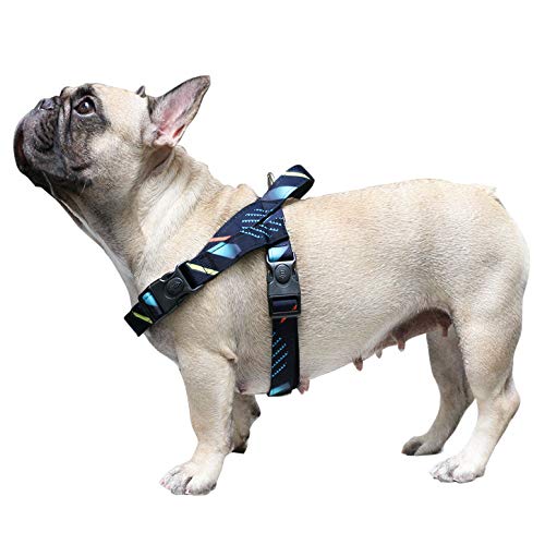 iChoue French Bulldog Harness Adjustable Padded Locked Buckle with Handle for Frenchie Pug English Boston Terrier Dogs, Shooting Stars, Small - color: A Harness Stars, size: Small ( 5 - 25 lbs )