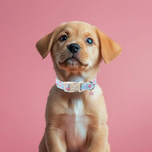 Valentines Dog Collar for Small Dogs - Valentine Candy Hearts Dog Collars, Love Boy Girl Dogs Collars, Lightweight Adjustable Cute Blue Puppy Collar with Quick-Release Buckle XS - color: Candy Heart, size: XS