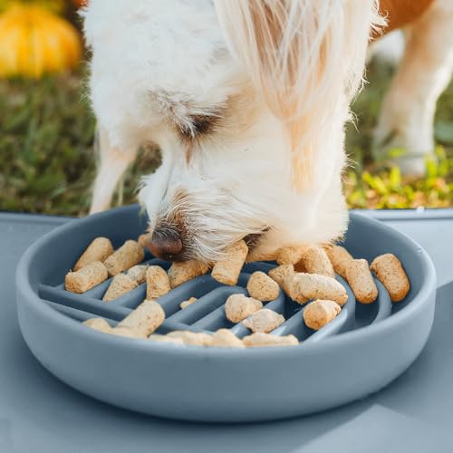 Should We Go? Slow Feeder for Dogs & Cats, The Slowdown Bowl Silicone Slow Eating Mealtime Solution with Modern Lick Mat Design, Reduces Gulping, Fits 1 Cup, 6” Across x 1.25” Tall, Small-Ocean - color: Ocean - Rainbow Design, size: Small (6” Across x 1.2