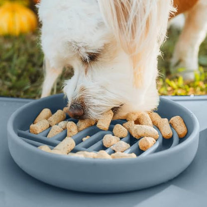 Should We Go? Slow Feeder for Dogs & Cats, The Slowdown Bowl Silicone Slow Eating Mealtime Solution with Modern Lick Mat Design, Reduces Gulping, Fits 1 Cup, 6” Across x 1.25” Tall, Small-Ocean - color: Ocean - Rainbow Design, size: Small (6” Across x 1.2