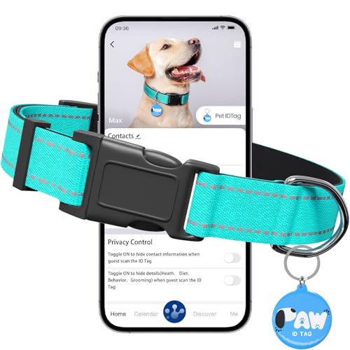 Reflective Dog Collar for Medium Dogs with Dog Tags Personalized & Quick Release Buckle, Adjustable and Comfortable Nylon Pet Collar, Mint Green - color: Mint Green, size: M