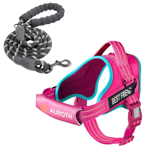 AUROTH Dog Harness and Leash Set, Soft Padded Service Dog Vest with 5.25FT Dog Leash, No Choke, Easy On Pet Vest, Adjustable Reflective No Pull Pet Vest Medium Sized Dog, Easy Walking and Training - color: Rose Red, size: Medium