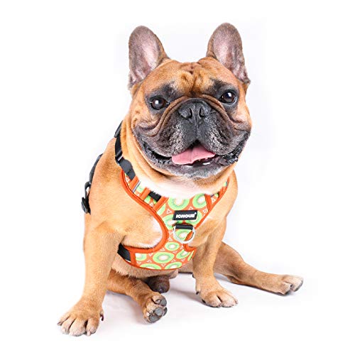 iChoue French Bulldog Vest Harness Adjustable No Pull Soft Padded with Locked Buckle for Frenchie Pug English Boston Terrier Dogs, Kiwi Fruit, Small - color: A Vest Harness Kiwi Fruit, size: Small ( 5 - 25 lbs )