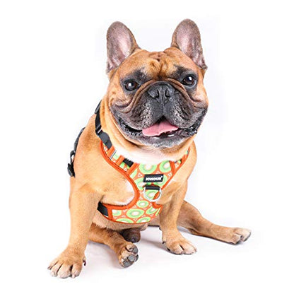 iChoue French Bulldog Vest Harness Adjustable No Pull Soft Padded with Locked Buckle for Frenchie Pug English Boston Terrier Dogs, Kiwi Fruit, Small - color: A Vest Harness Kiwi Fruit, size: Small ( 5 - 25 lbs )