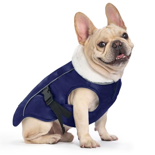 EMUST Winter Dog Jacket, Windproof Dog Apparel for Cold Weather, Reflective Coats for Dogs, Warm Puppy Jacket for Cold Winter, Blue S - color: Blue, size: Small