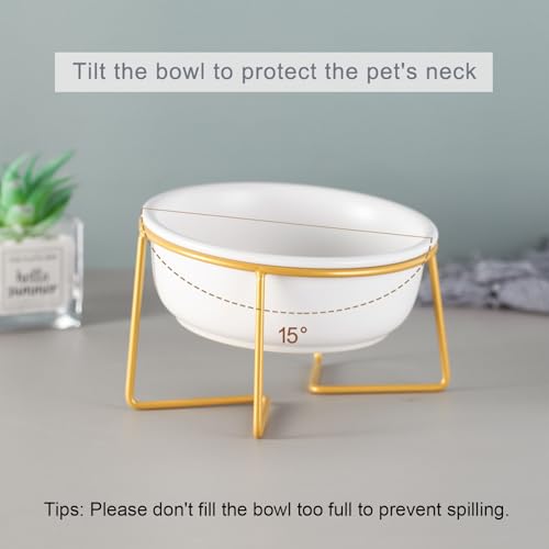 White Small Ceramic Tilted Elevated Cat Dog Bowl Raised Cat Food Water Bowl Dish Pet Comfort Feeding Bowls with Gold Iron Stand - color: White, size: Small