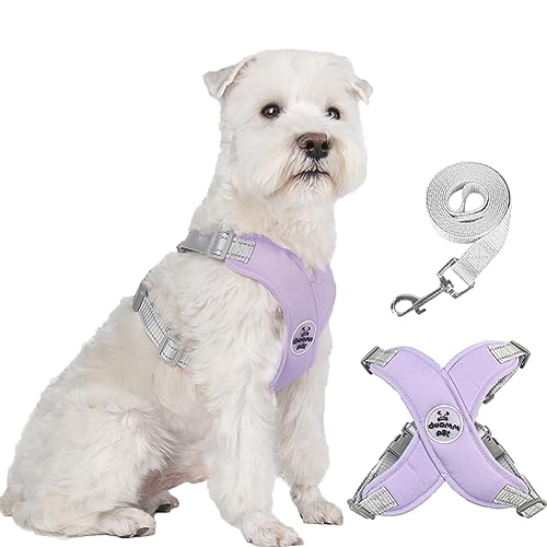 Dog Harness Pet X Frame No Pull Step-in Harnesses with Leash Set, Adjustable Reflective Choke Free Puppy with Padded Vest for Small, Medium Dogs and Cats Walking Training - color: Purple, size: Medium