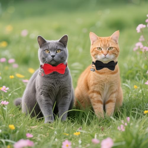 Cat Collar Breakaway with Bells, Soft Cotton Red Cat Bowtie Collar for Girl Cats, Small Cats Collar with Bow for Spring Summer, 2 Pack Cute Kitten Collars with Removable Bowtie 8-12Inch - color: Black + Red