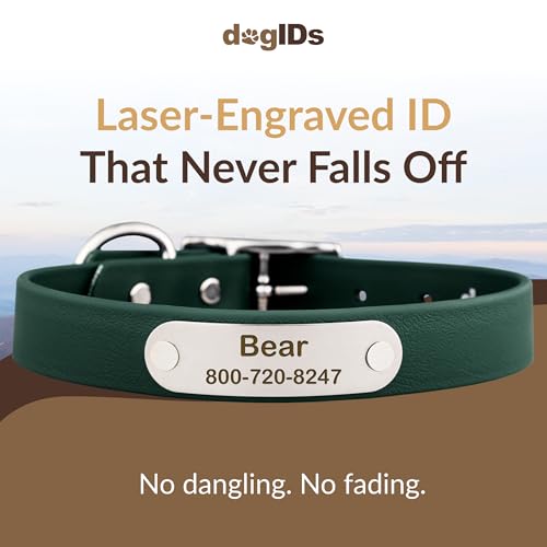 dogIDs Personalized Dog Collar – Custom Waterproof Soft-Grip Biothane with Laser-Engraved Nameplate, Durable & Odor-Resistant, USA Made | Hunter Green, 1 in x 16 in (Fits Necks Size 14-18 in) - color: Hunter Green, size: 1 in x 16 in (Fits Necks Size 14-1
