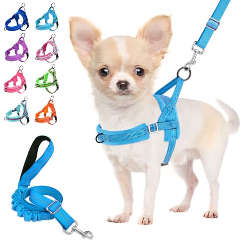 Lukovee No Pull Dog Harness and Leash Set, Soft Padded Small Dog Harness, Neck & Chest Adjustable Reflective Vest Puppy Harness with 4ft Lightweight Anti-Twist Dog Leash for Small Dogs (LBL, XXS) - color: Light Blue, size: XXS ( Chest 11.5'' ~ 15'')