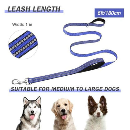 Hikiko Heavy Duty Dog Leash Strong Two Padded Soft Handles Dog Leash for Medium and Large Dogs (Blue,6FT) - color: Blue, size: 1 in x 6 ft
