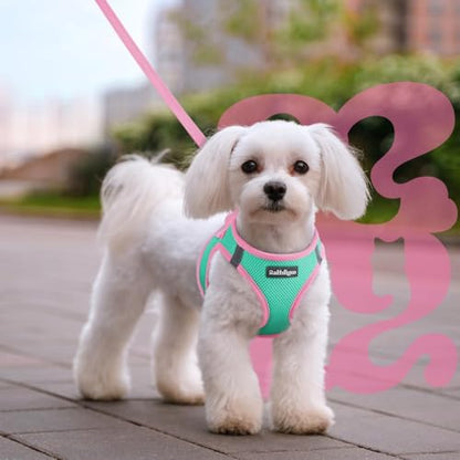 rabbitgoo Dog Harness Small Sized and Leash Set, Step-in Breathable Pet Harness, Soft Walking Reflective Puppy Vest for Small Dogs, Teal & Pink, XXS - color: Teal & Pink, size: XXS (Chest: 12.4 - 14.2")