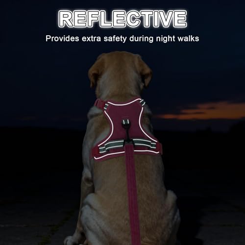BEAUTYZOO No Pull Dog Harness Large, Adjustable Dog Harness and Leash Set -Easy Wearing with 3 Buckles/Control Handle,No Choke Soft Padded Reflective Pet Vest for Training Walking Hiking,Rose S - color: Solid Rose, size: S: chest 14"-24"