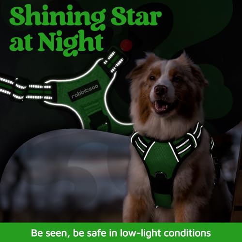 rabbitgoo Dog Harness Small Sized, No Pull Dog Vest with 3 Buckles, Adjustable Soft Padded Pet Harness with Easy Control Handle and Reflective Strips, Green, S - color: Green, size: Small