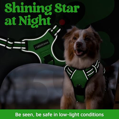 rabbitgoo Dog Harness Small Sized, No Pull Dog Vest with 3 Buckles, Adjustable Soft Padded Pet Harness with Easy Control Handle and Reflective Strips, Green, S - color: Green, size: Small