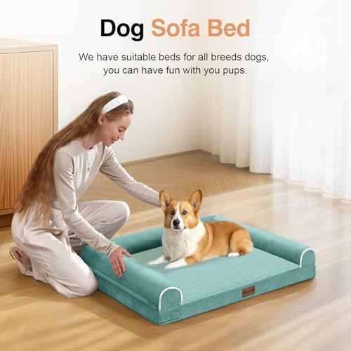 Medium Large Dog Bed Orthopedic Washable: Beds Bolster Medium Large Sized Dog Bed Egg Crate Foam Couch Sofa Waterproof with Removable Cover - Aqua Blue - color: Aqua Blue, size: 30.0"L x 20.0"W x 6.0"Th