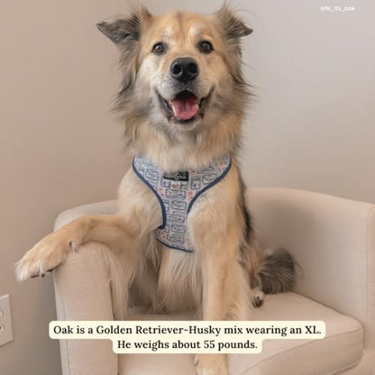 Lucy & Co. Tinned Fish No-Pull Dog Harness, Adjustable Front Clip Harness with Comfort Padding, Medium - color: Tinned Fish, size: Medium