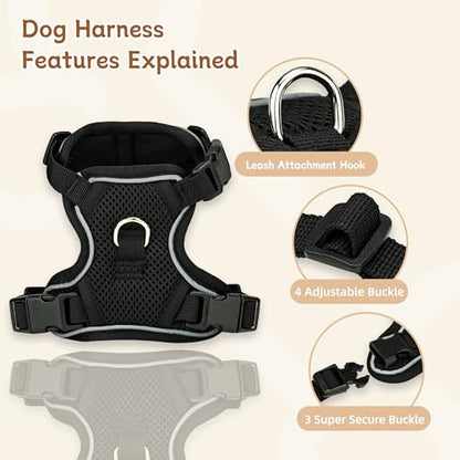 Small Dog Harness and Leash Set, Reflective Soft Breathable Mesh Vest, 3 Buckles, Adjustable Neck and Chest,Step in Dog Harness for Walking, Running, Training, Black, XS - color: Black, size: X-Small