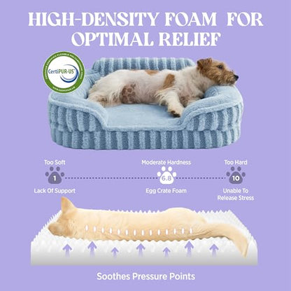 LE SURE Cute Dog Beds Large Sized Dog, Orthopedic Waterproof Large Pet Bed with Sides, High Back Non-Slip Bottom and Egg-Crate Foam Pet Couch Sofa with Washable Removable Cover, Blue - color: Blue, size: 35.0"l X 25.0"w X 7"th