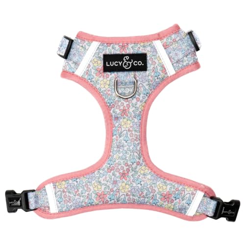 Lucy & Co. Ditsy Daydream No-Pull Dog Harness, Adjustable Front Clip Harness with Comfort Padding, Small - color: Ditsy Daydream, size: Small