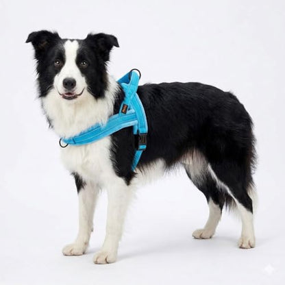 Didog Soft Flannel Padded Dog Vest Harness, No Pull/Quick Fit Reflective Dog Strap Harness, Easy for Training Walking (M:Chest 21-26", Blue) - color: Blue, size: M:chest 21-26"